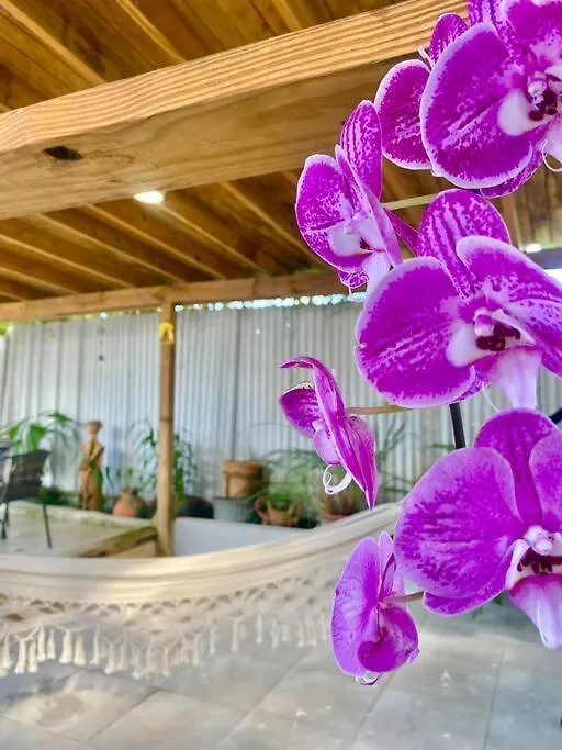 5 Min From Airport Sju Secret Garden Rental Pr San Juan Сasa de vacaciones